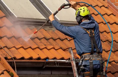 Démoussage et hydrofuge de toiture à Arcenant